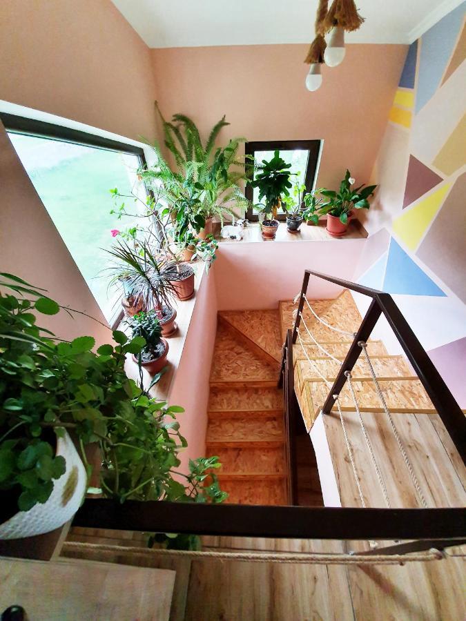 ---Allegria House--- Stepancminda Zewnętrze zdjęcie